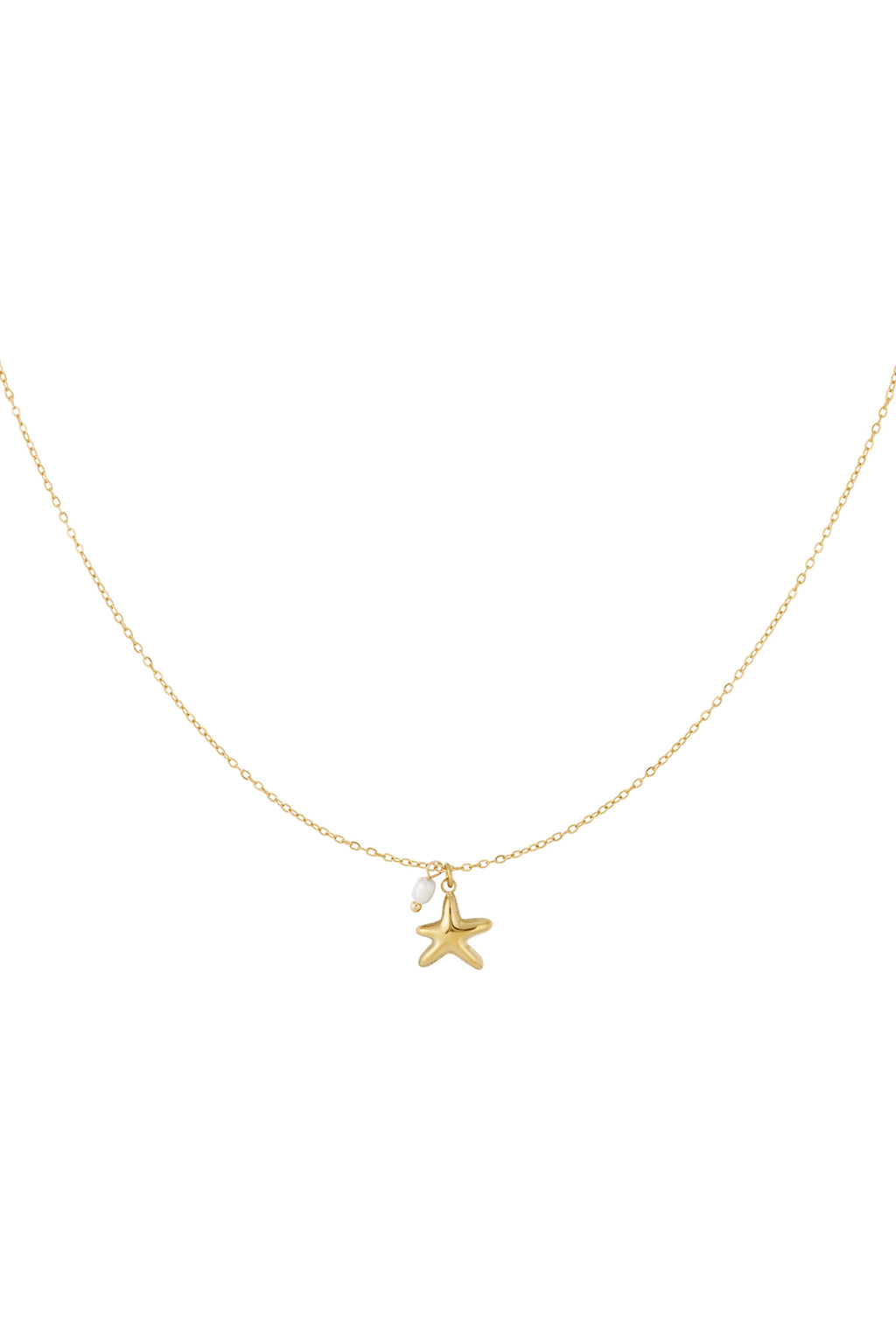 Collana a forma di stella marina