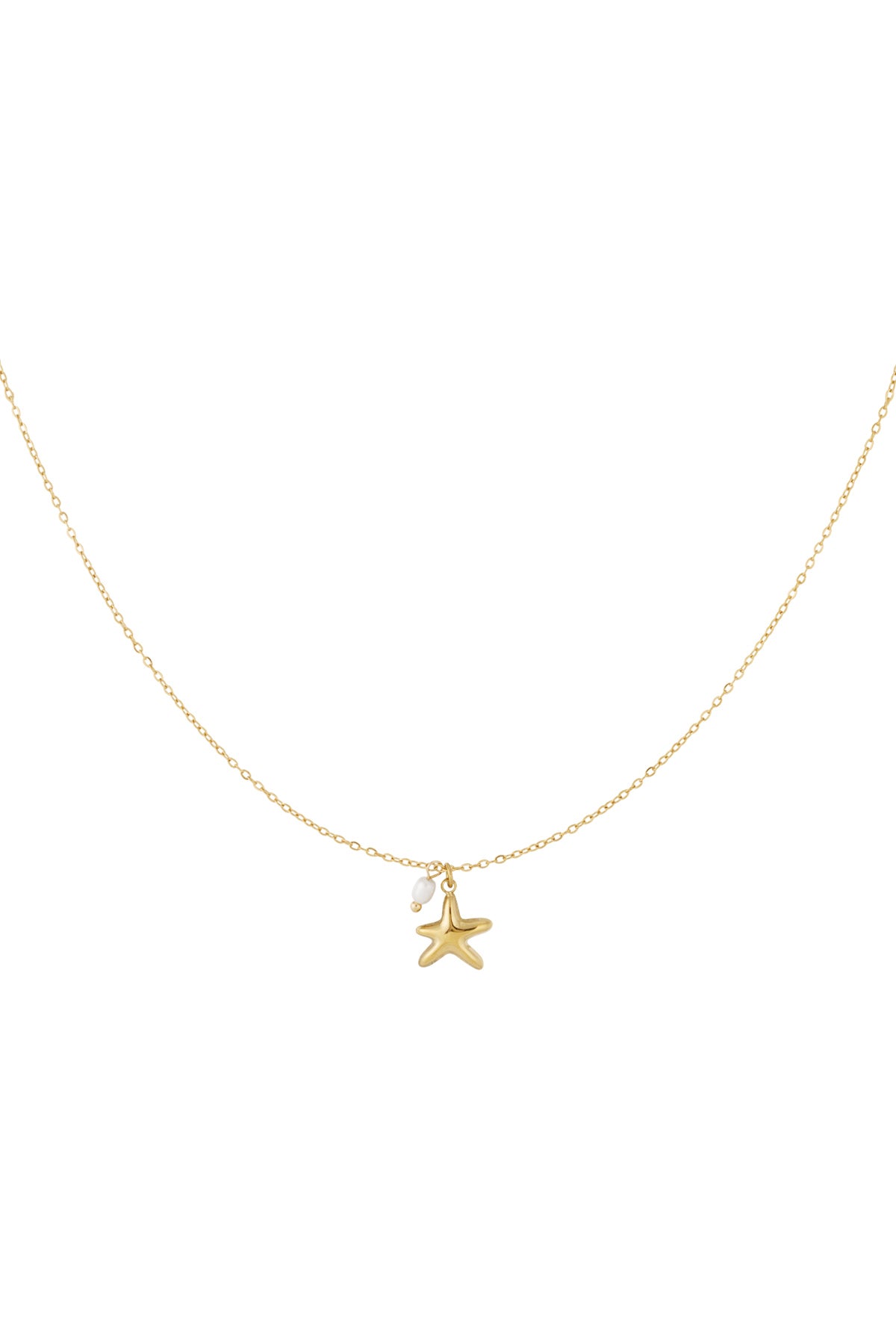 Collana a forma di stella marina