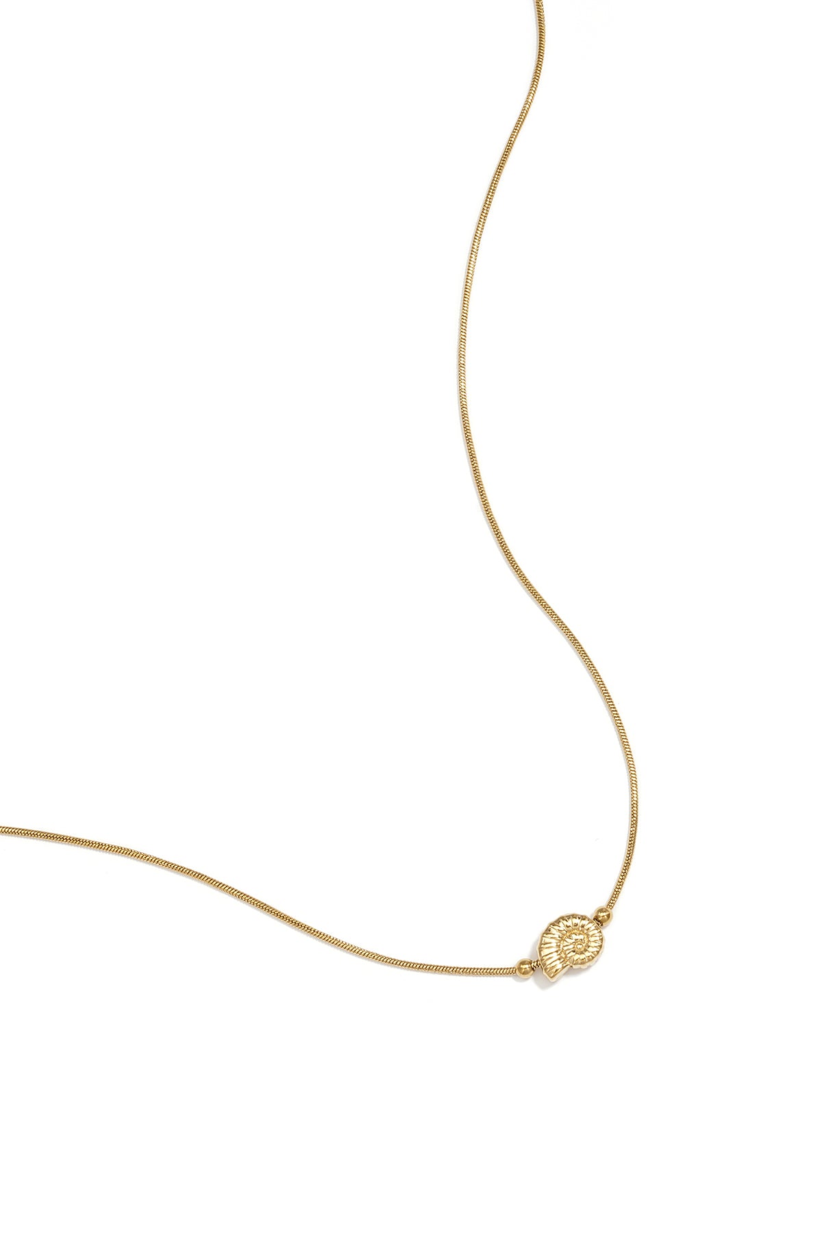 Collana minimalista con piccola conchiglia a spirale
