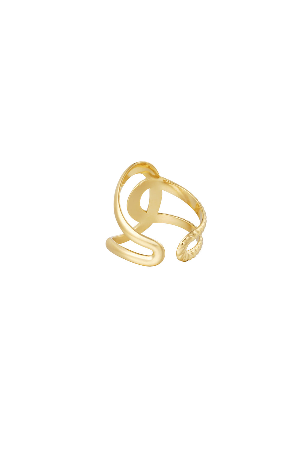 dettaglio nodo anello