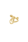 dettaglio nodo anello