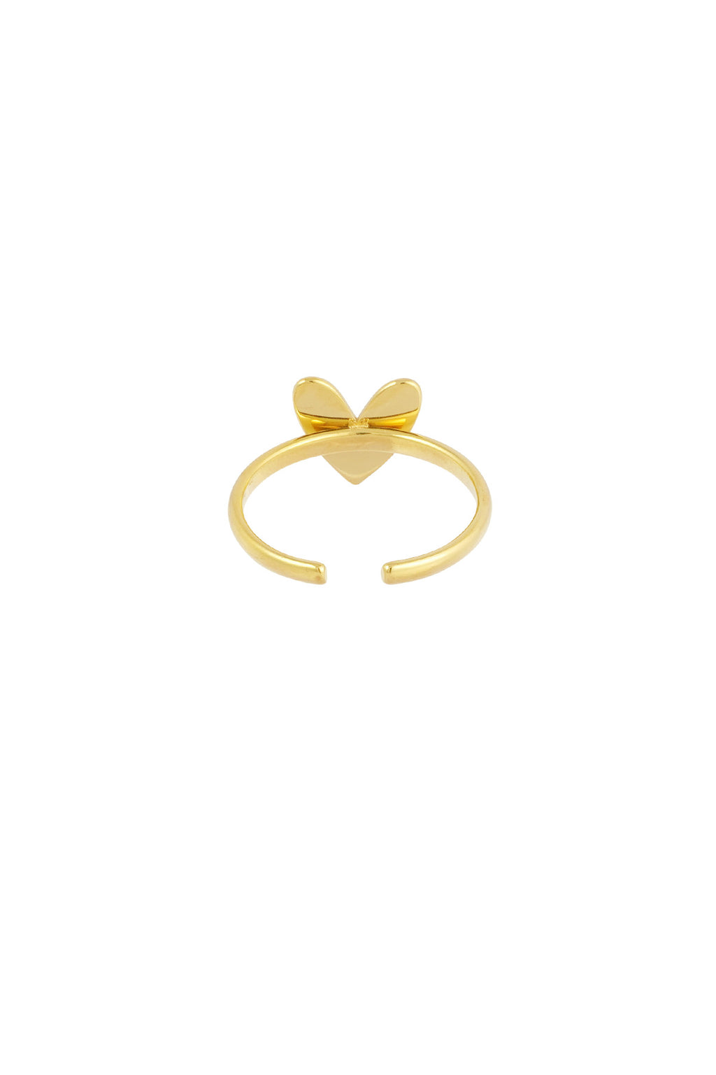 classico anello dell'amore