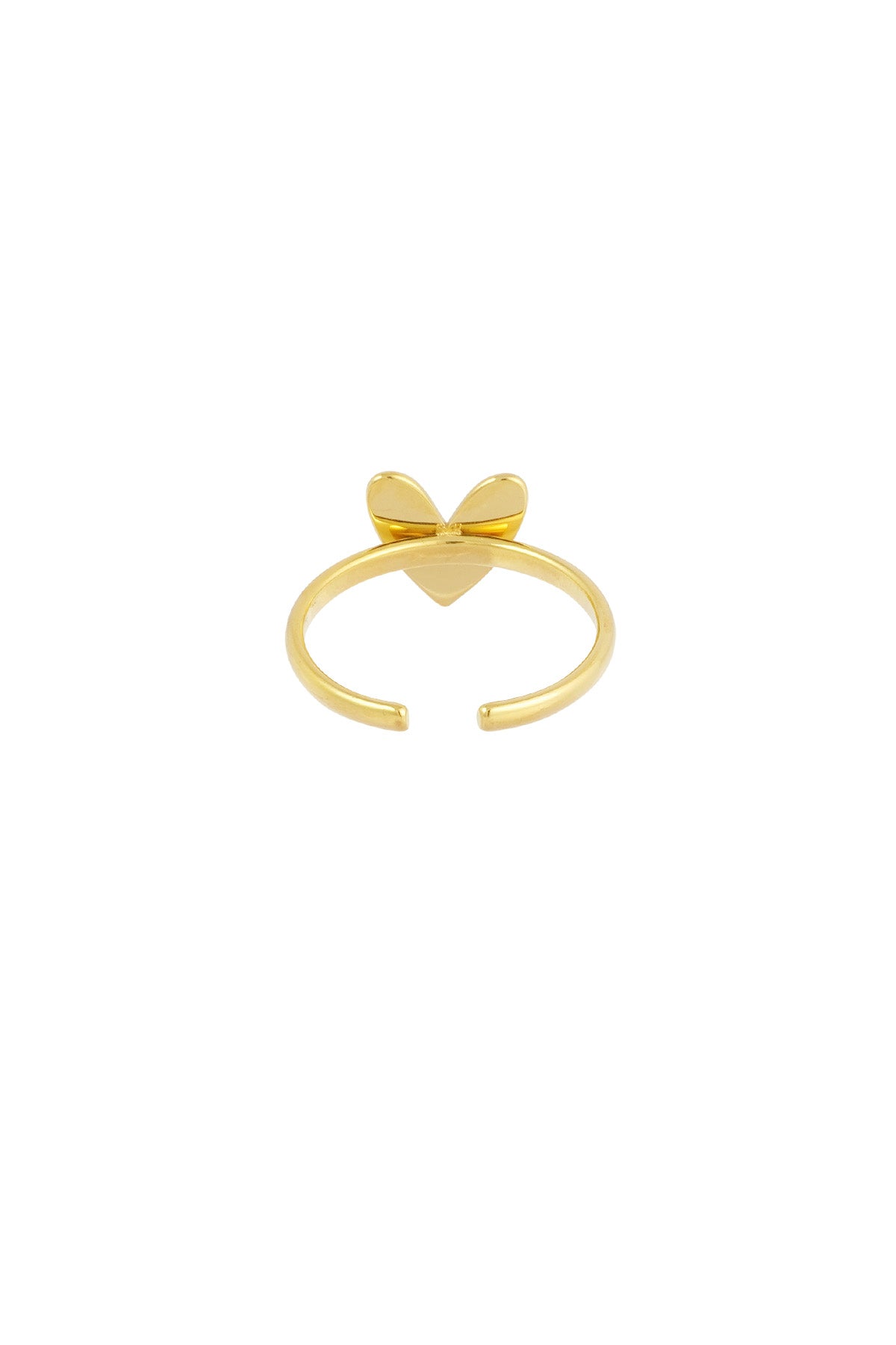 classico anello dell'amore