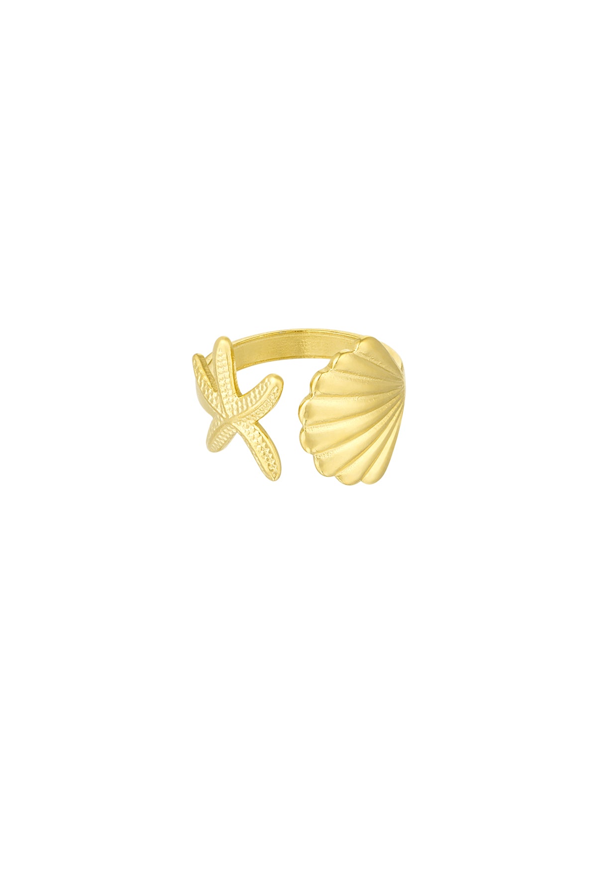 anello vibrazioni di conchiglia