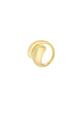 anello anima connessa