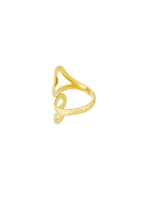 anello doppio cuore