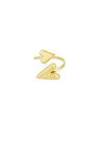 anello doppio affetto