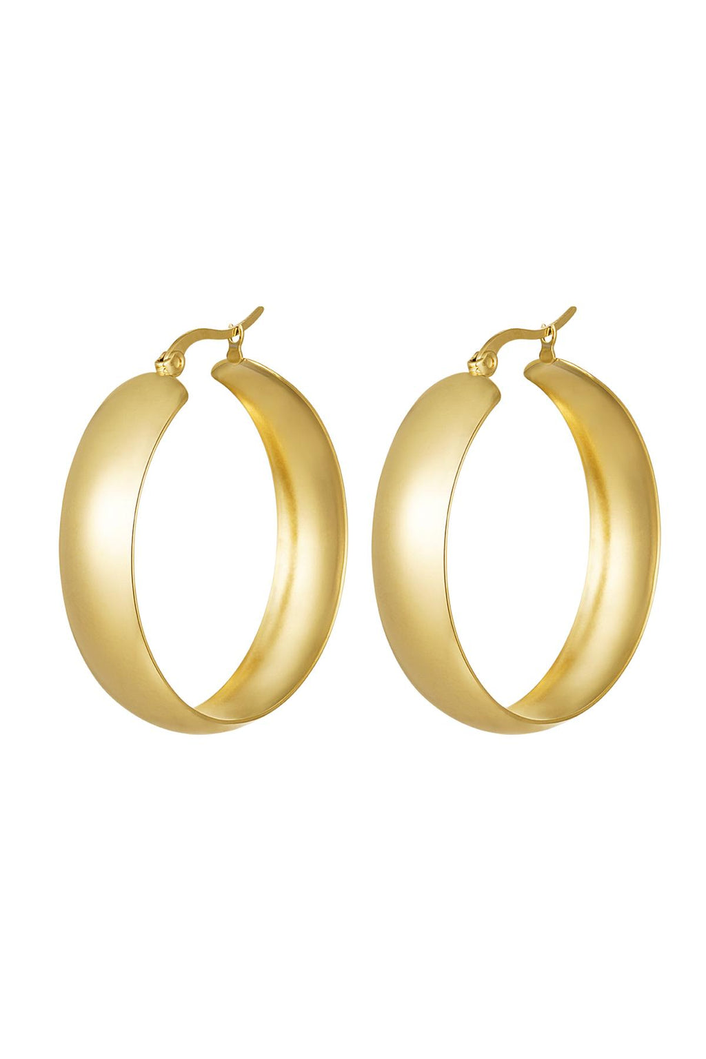 Orecchini in acciaio inossidabile chic Gold Stainless Steel
