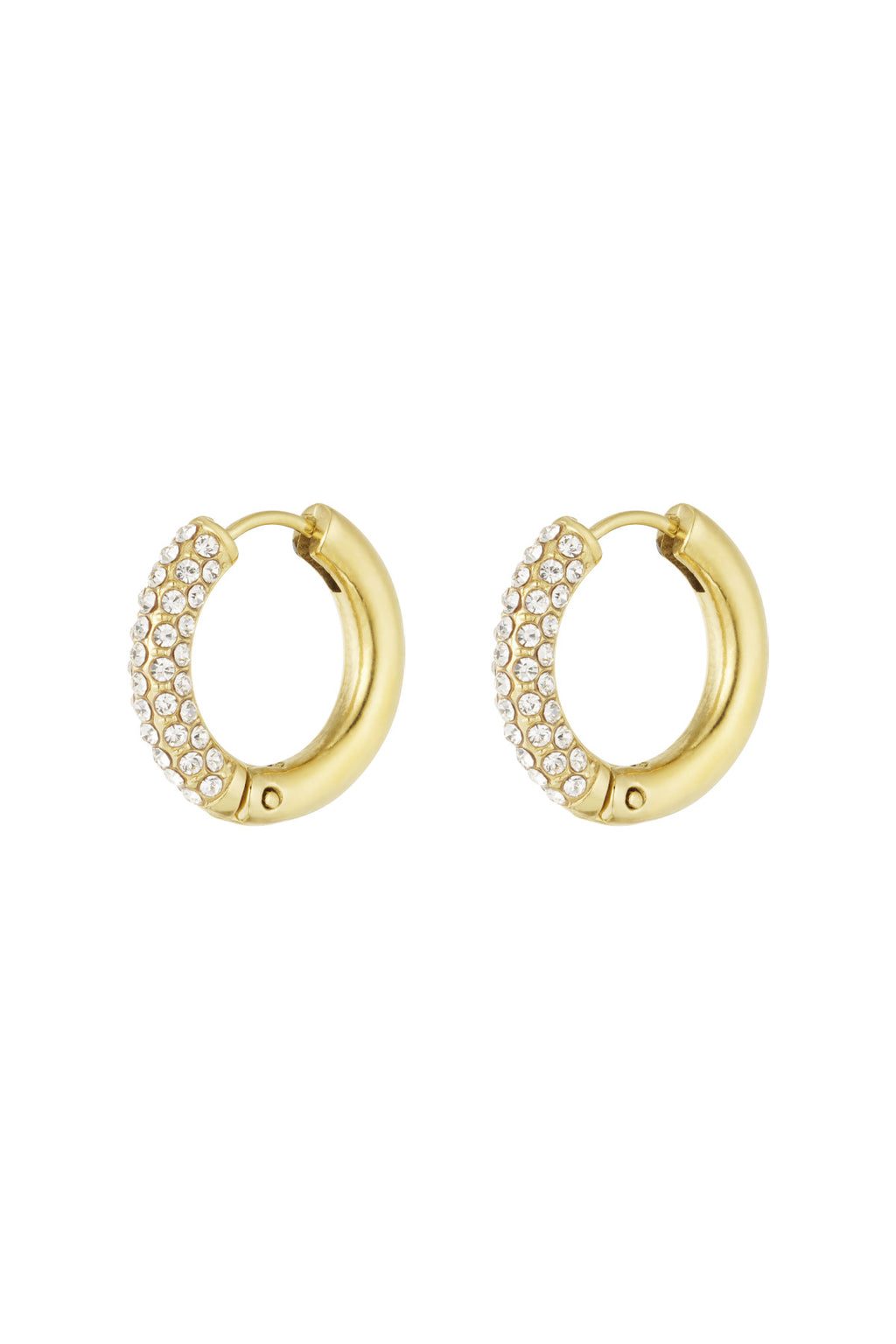 Orecchini Shiny Rings
