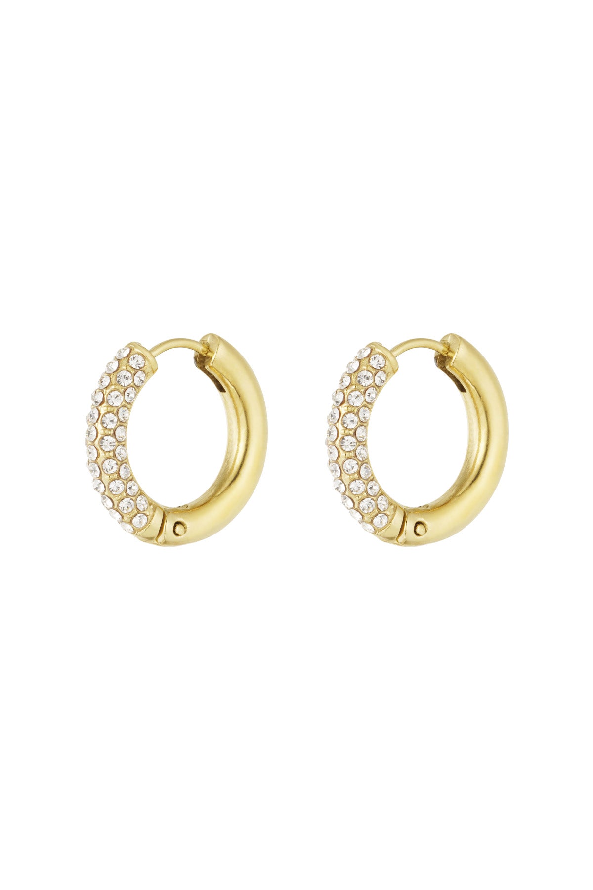 Orecchini Shiny Rings