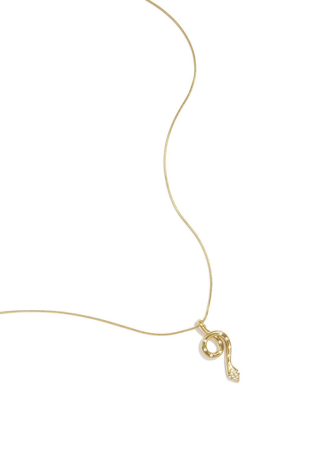 Collana con ciondolo a forma di serpente rivestito