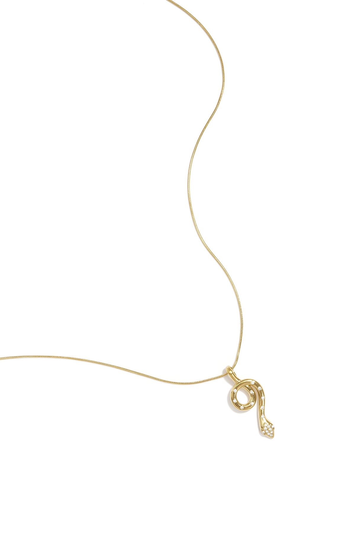 Collana con ciondolo a forma di serpente rivestito